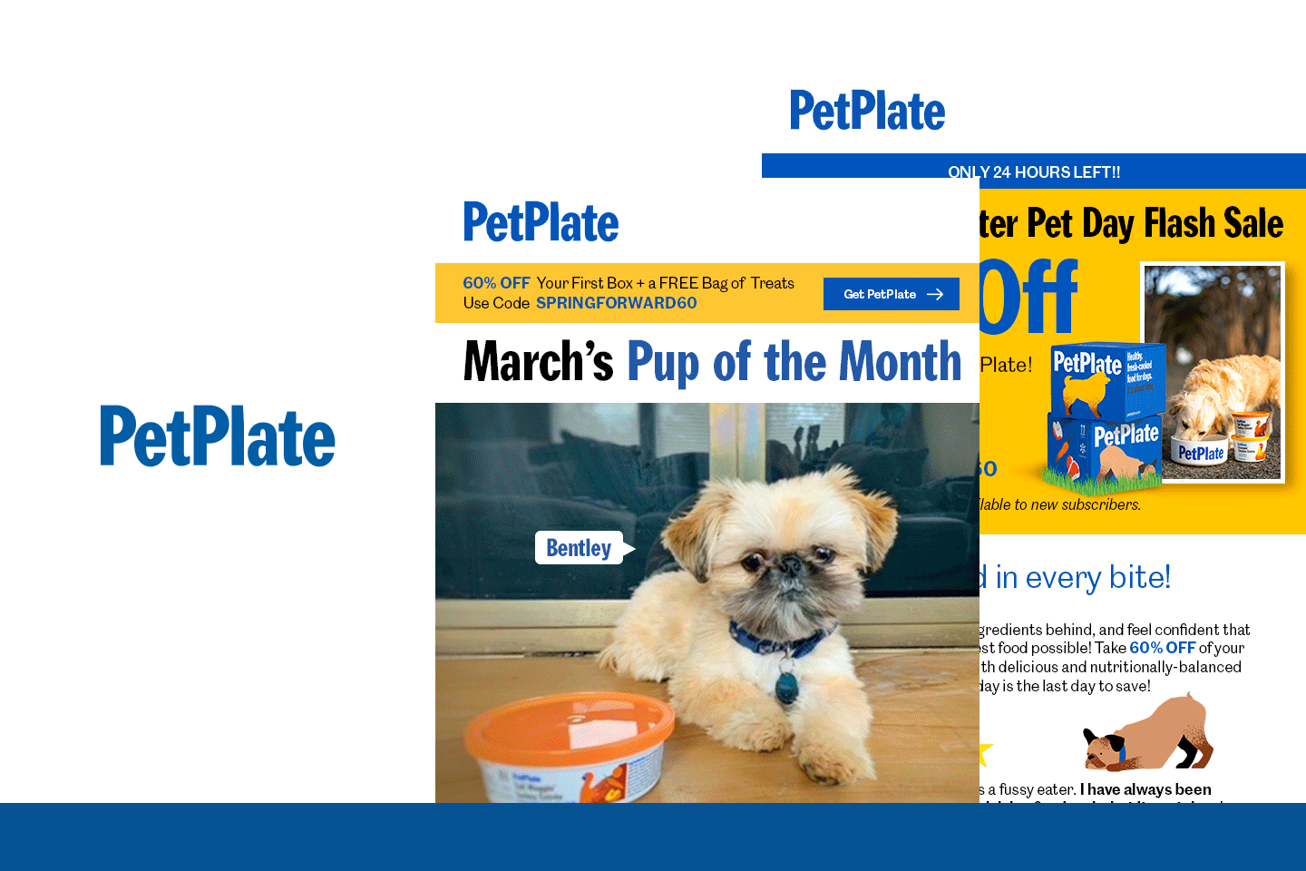 Pet Plate Case Study Featured Image